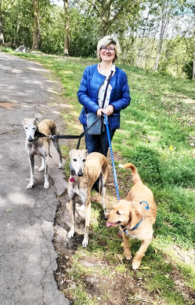 Pet sitting Métropole Lilloise
