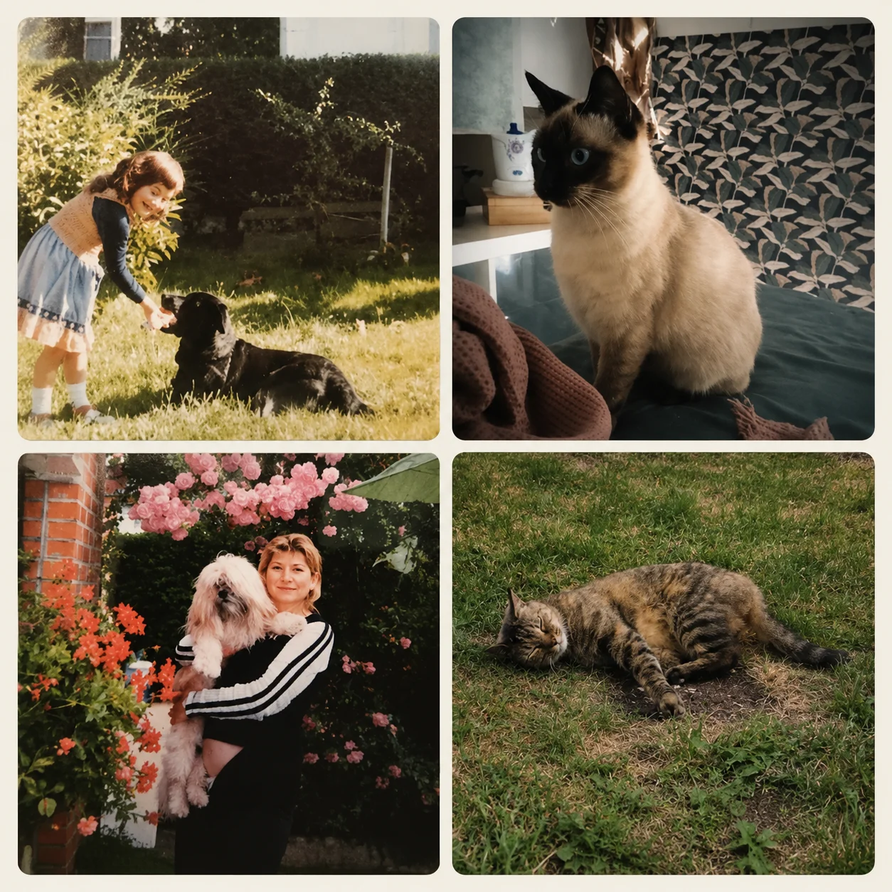 Visites d'animaux à domicile