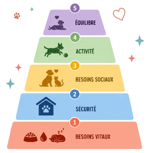 Pyramide des besoins des animaux